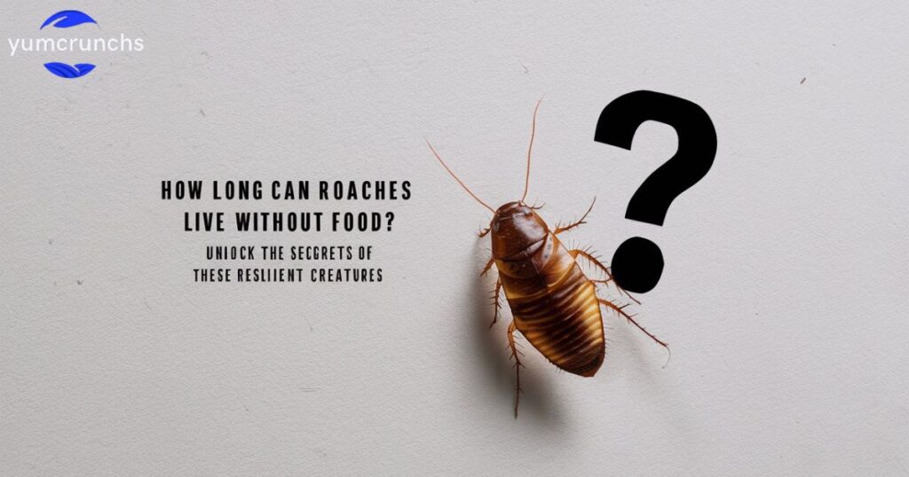 How Long Can Roaches Live Without Food?