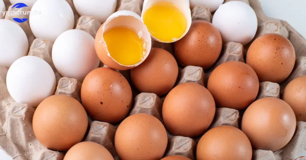 What is an egg classified as?