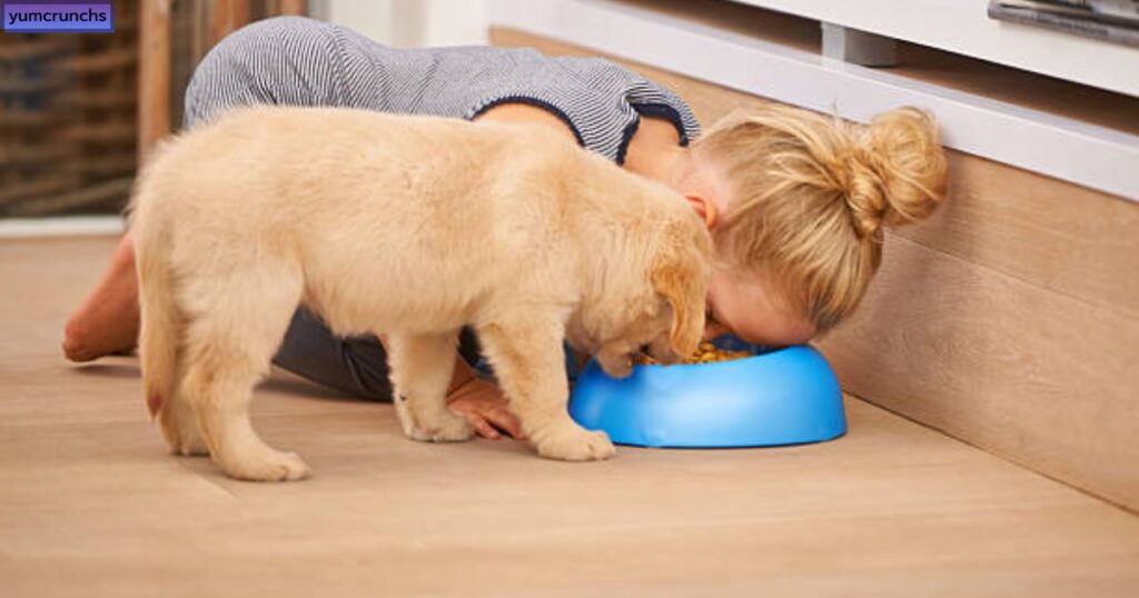 Can Humans Eat Dog Food?