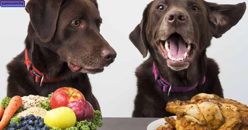 Regulation of Dog Food vs. Human Food