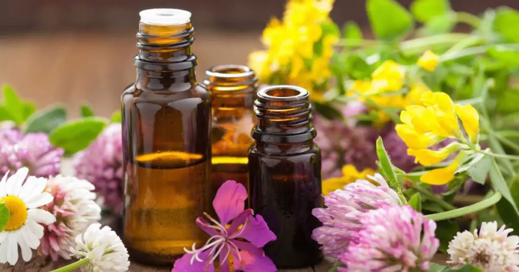 A Scent-sational Guide to Essential Oils and Their Uses