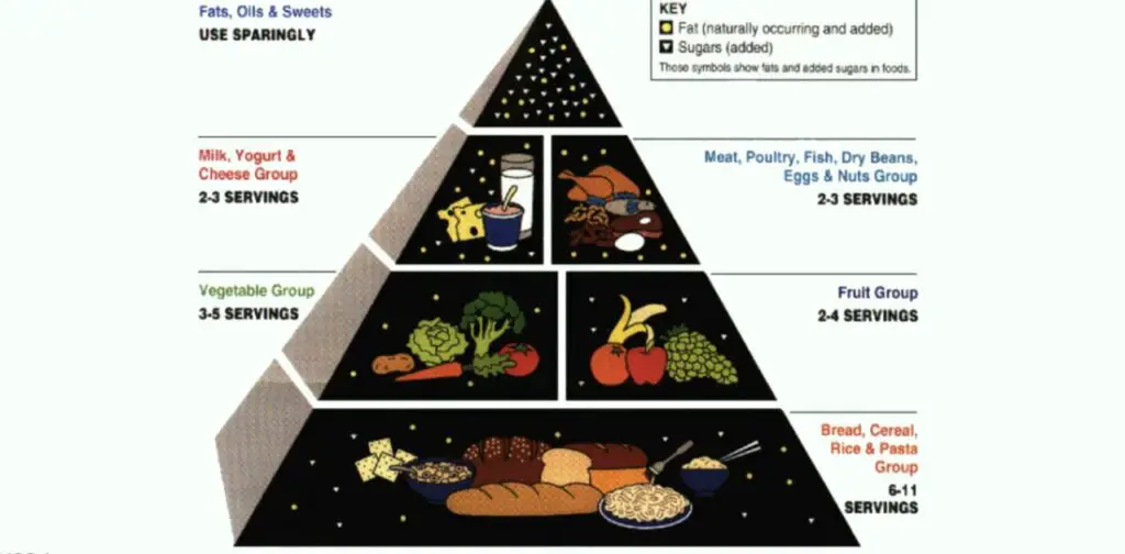 The Basics of the Food Triangle